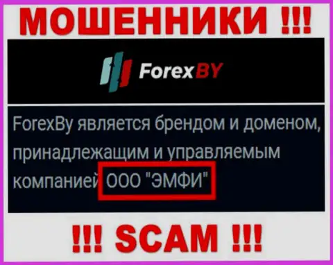 На официальном веб-сайте Forex BY отмечено, что указанной организацией владеет ООО ЭМФИ