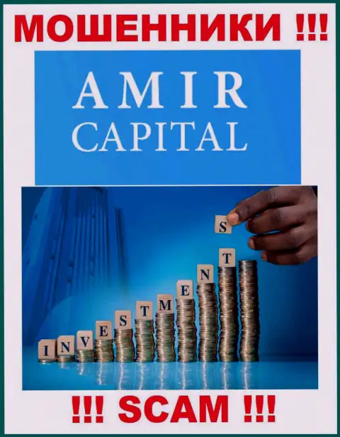 Не вводите деньги в Амир Капитал, сфера деятельности которых - Инвестирование