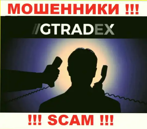 Информации о прямом руководстве мошенников GTradex Net в сети internet не получилось найти