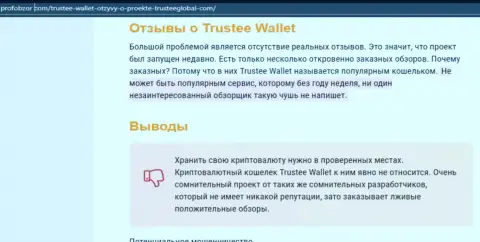 Trustee Wallet - это МОШЕННИКИ !!! Крадут денежные вложения клиентов (обзор)