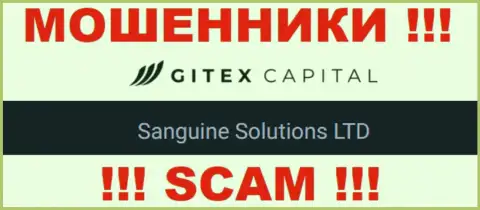 Юр. лицо GitexCapital Pro - это Сангин Солютионс ЛТД, такую информацию предоставили кидалы на своем сайте