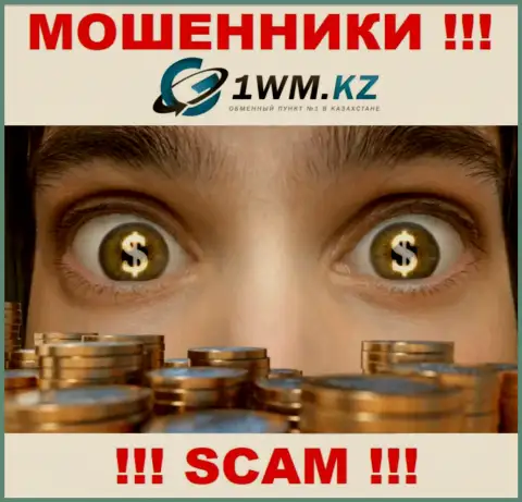 На web-сайте мошенников 1WM Kz нет ни намека о регуляторе данной компании !