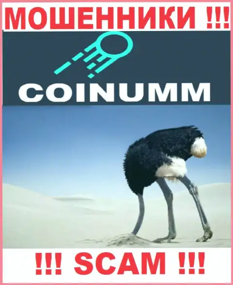 Организация Coinumm Com не имеет регулятора и лицензионного документа на право осуществления деятельности