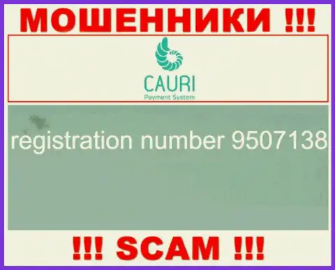 Регистрационный номер, который принадлежит неправомерно действующей компании Каури Ком: 9507138