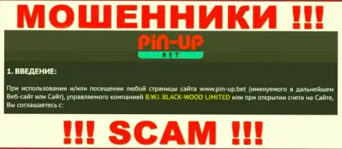 Юр. лицо компании Pin Up Bet - это Б.В.И. БЛЕК-ВУД ЛТД, инфа взята с официального сайта
