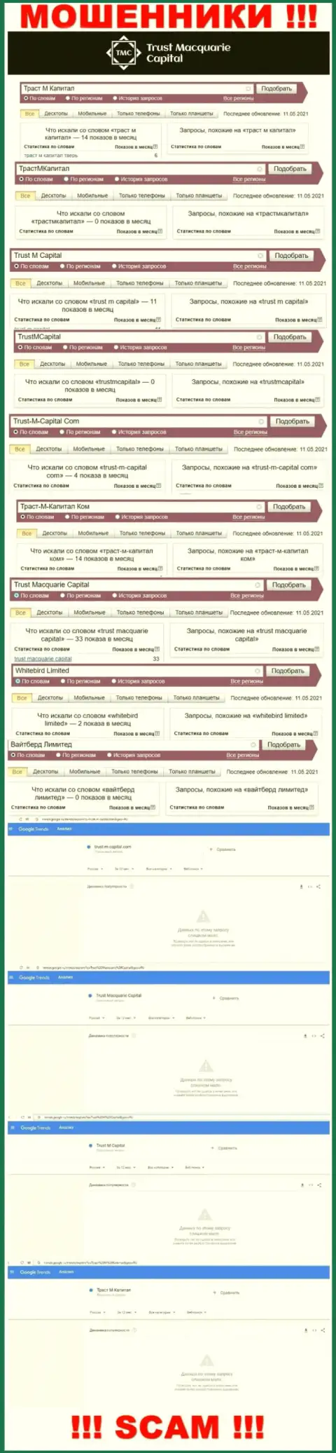 Статистика поисков инфы о интернет-жуликах Траст-М-Капитал Ком