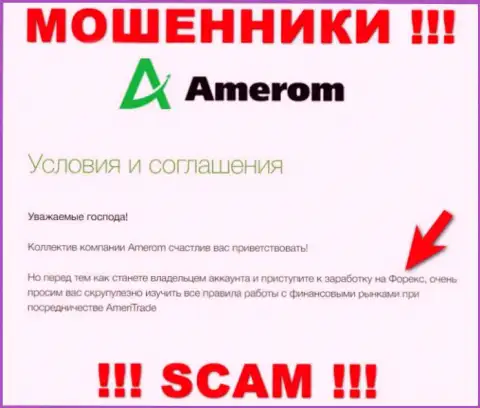 Не доверяйте финансовые средства Amerom, т.к. их сфера деятельности, Forex, капкан