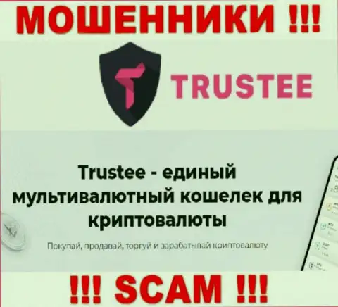 Не стоит верить, что деятельность Trustee в сфере Крипто кошелек законна