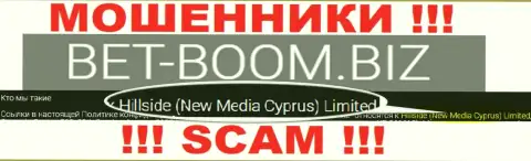 Юридическим лицом, управляющим internet-обманщиками Bet-Boom Biz, является Hillside (New Media Cyprus) Limited