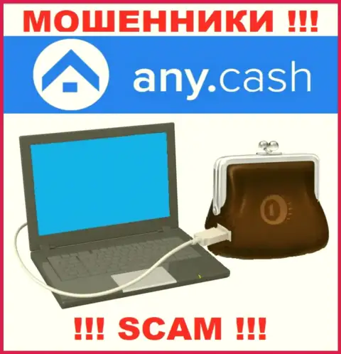 Any Cash - это МОШЕННИКИ, вид деятельности которых - Цифровой онлайн-кошелек