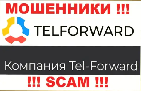 Юридическое лицо TelForward - это Tel-Forward, именно такую информацию предоставили воры на своем интернет-ресурсе