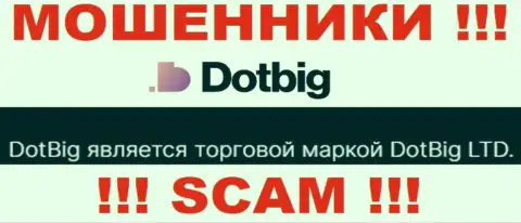 DotBig - юр. лицо мошенников компания DotBig LTD