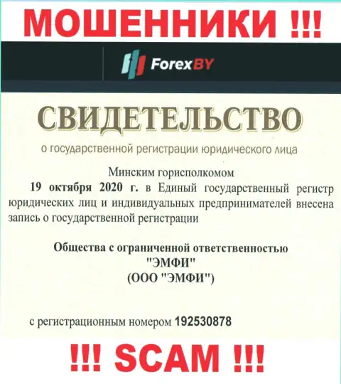 Регистрационный номер мошеннической конторы Forex BY - 192530878