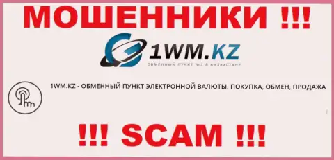 Деятельность мошенников 1WM Kz: Интернет-обменник - это ловушка для доверчивых людей