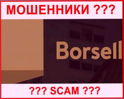 Borsell Ru - это МОШЕННИКИ ! SCAM !!!