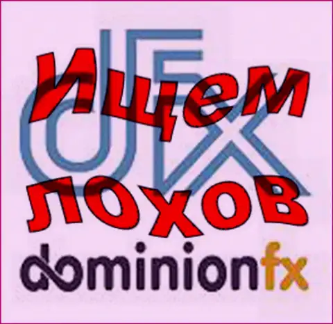 Доминион ФХ - логотип форекс дилингового центра